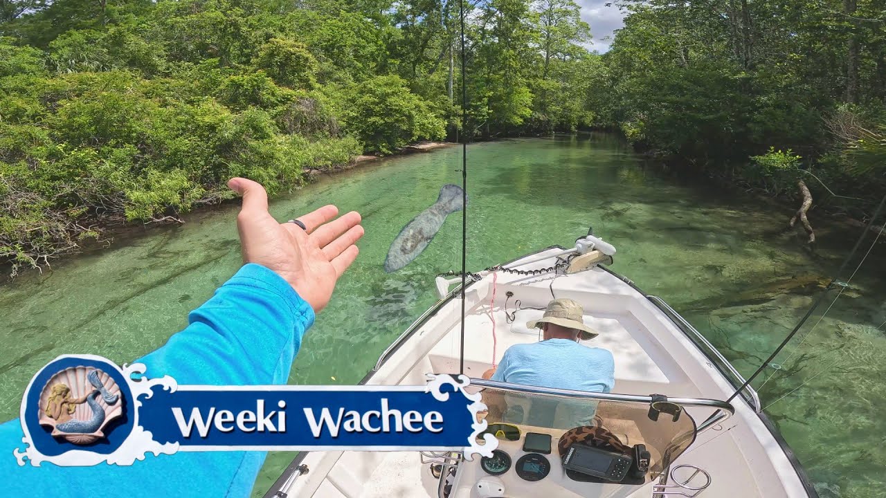 This Natural Wonder of Florida is a Must Visit! | Weeki Wachee Springs