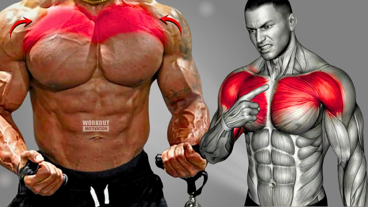 9 Best Exercises to Build Upper Pectoral