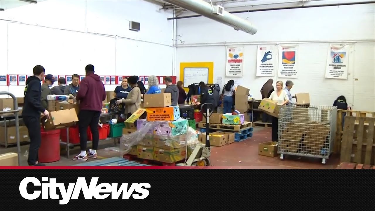 North York Harvest Food Bank tackling food insecurity through innovative approach