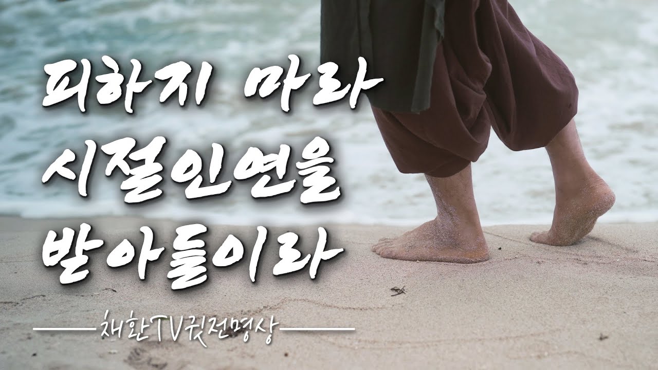 ☯ 얽매이지 말라! 집착하지 마라! 그 어떠한 것에도 겁내고 피하지 마라! 다가올 것은 다가오고, 떠나갈 것은 떠나간다. 그 어떠한 시절인연이라 할지라도 그저 받아들이라