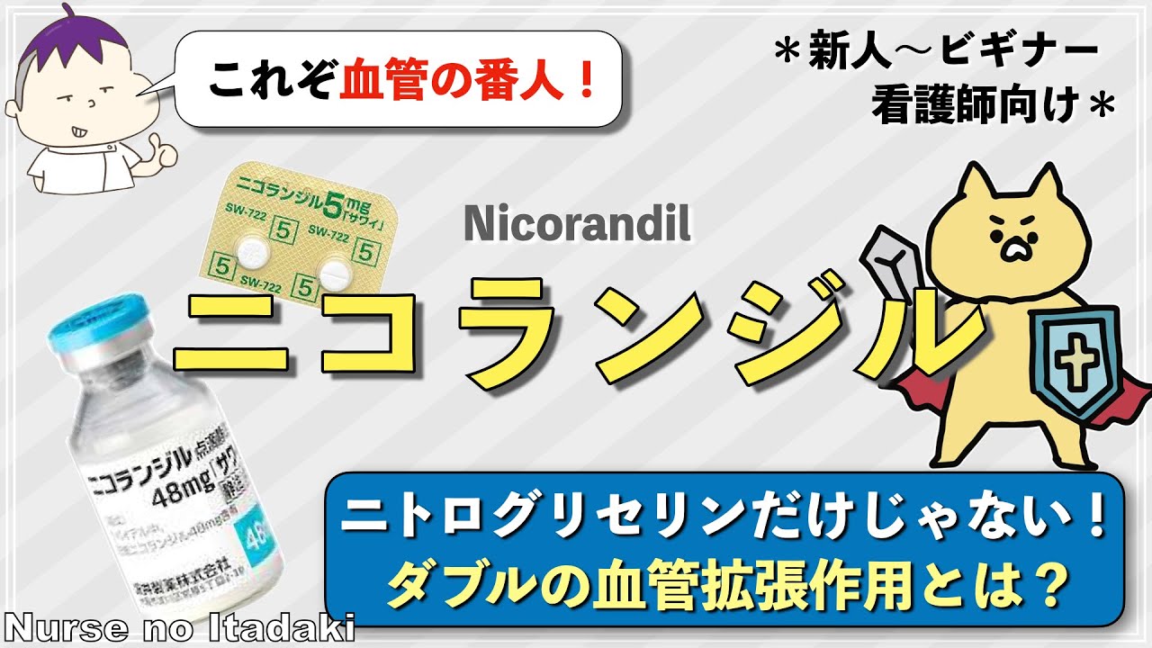 【血管の番人！】ニコランジルのダブルの血管拡張作用とは？