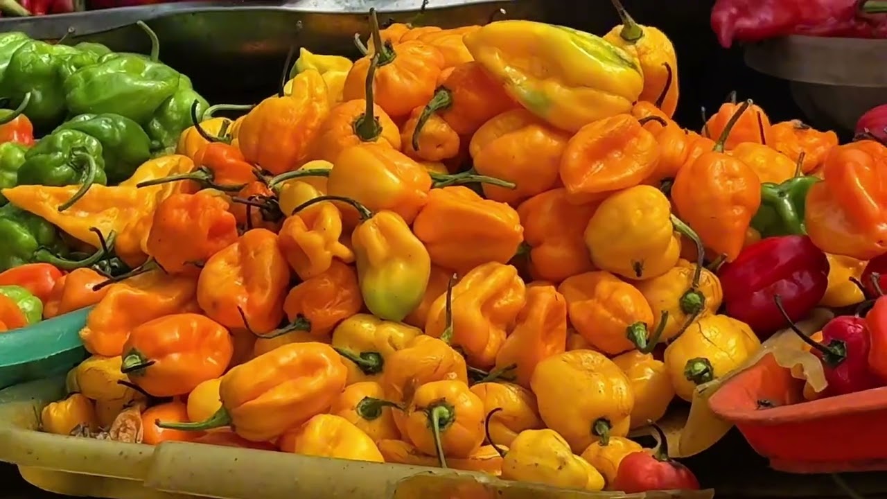 First Time Market Run | How I Shop for Fresh Nigerian Ingredients 