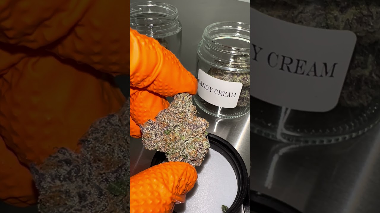 Alive and Well Premium THCA Flower Candy Cream Strain