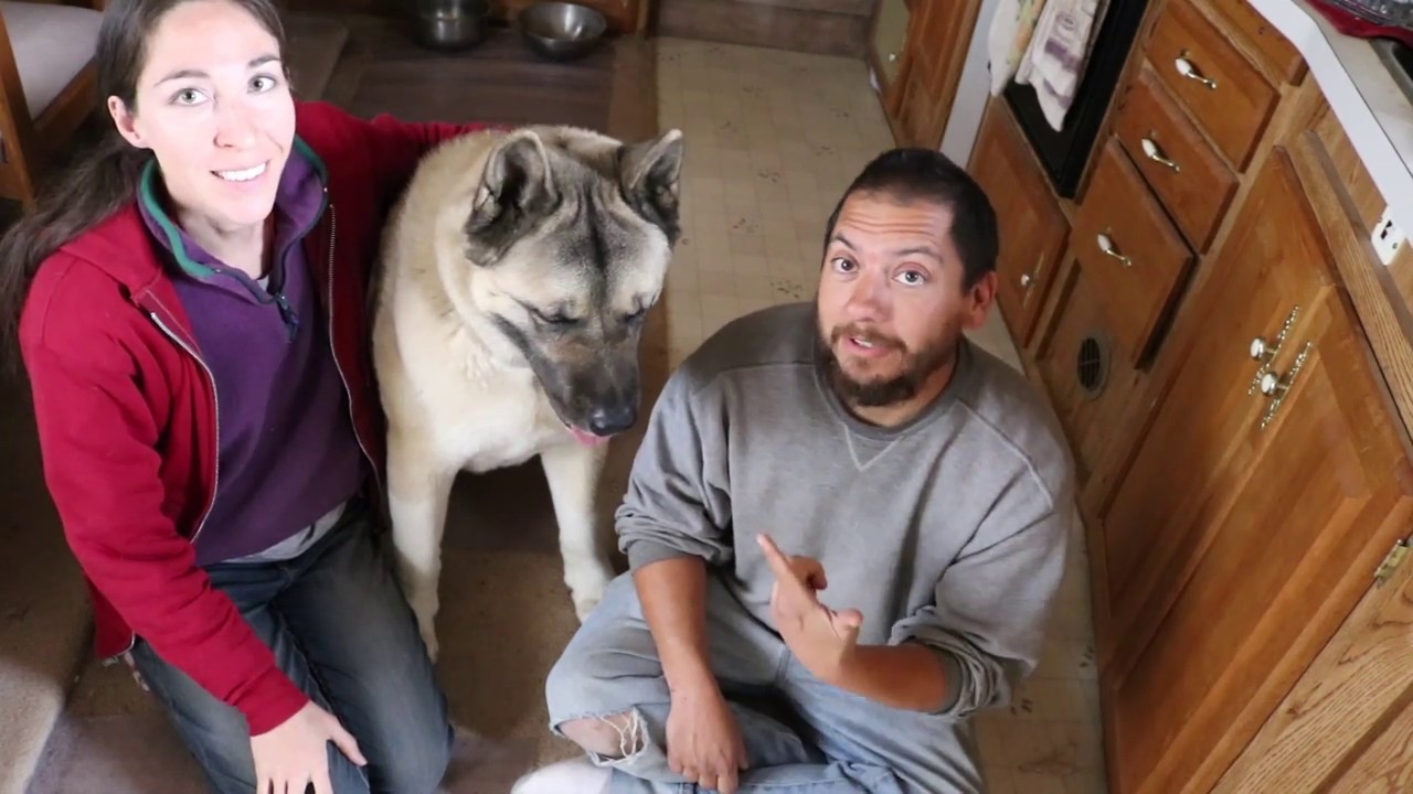How we get our mail off grid! | Mail Call