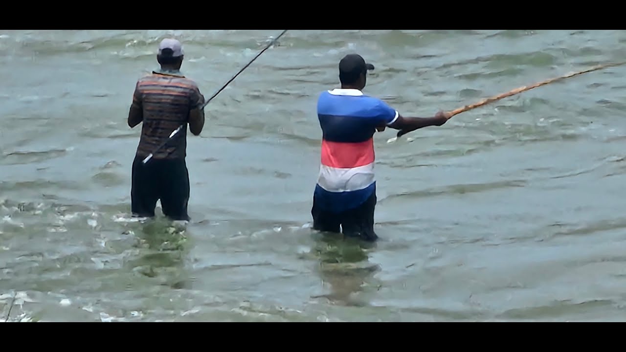 Fishermen Fishing in the Early Morning. Fisherman Fishing with big nets🐟