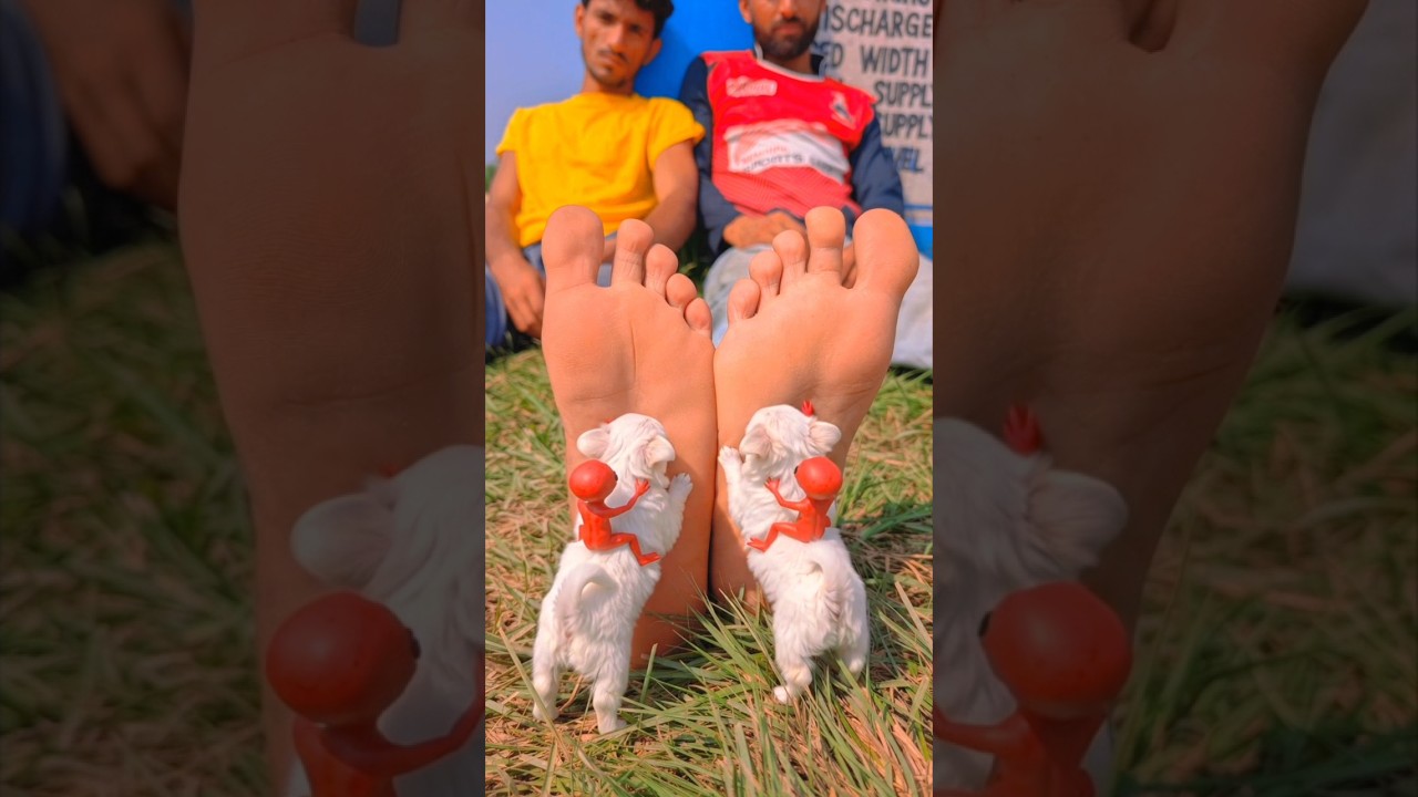 Allah Sub Dikh Raha hai 😭 #ytshorts #news #prayer #today #trending #emotional #shorts