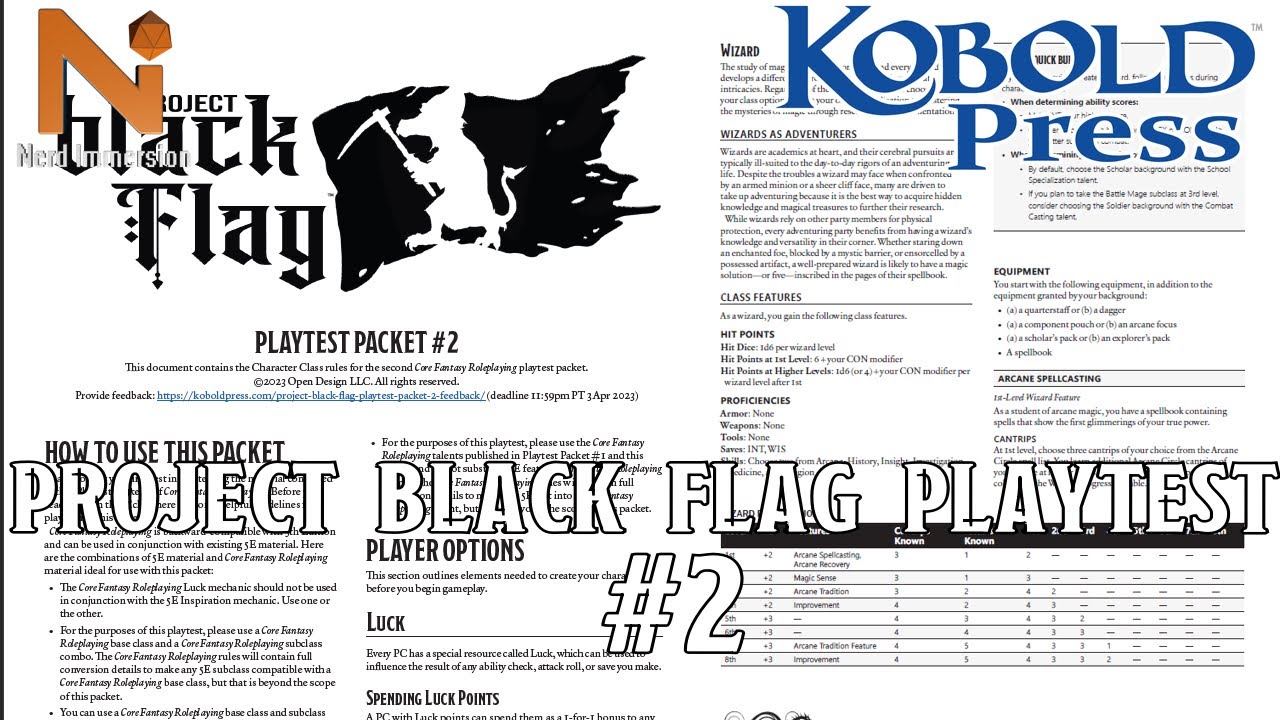 Project Black Flag Playtest #2 Review - Magic, Luck, & Classes!  Nerd Immersion
