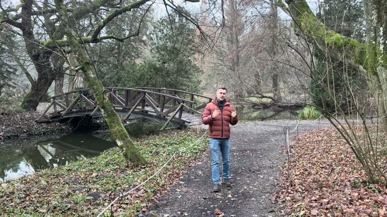 V&aacute;cr&aacute;t&oacute;ti Botanikus kert t&eacute;len. Fa&ouml;lel&eacute;s, &uacute;j &eacute;velő &aacute;gy&aacute;s &eacute;s sok m&aacute;s sz&eacute;ps&eacute;g.