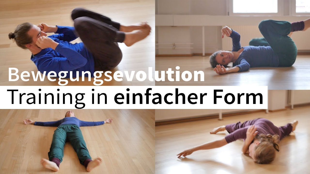 Bewegungsevolution - 20 minütiges Training in einfacher Form