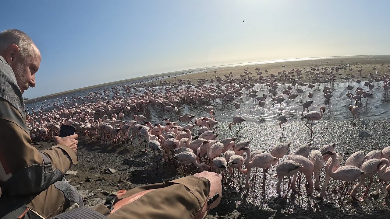 Motorcycle Adventure Big Five Trip in Southern Africa - Episode 8 H265HD