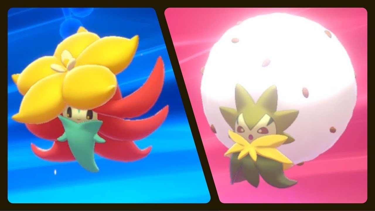 GOSSIFLEUR EVOLVED INTO ELDEGOSS (POKEMON SHIELD)
