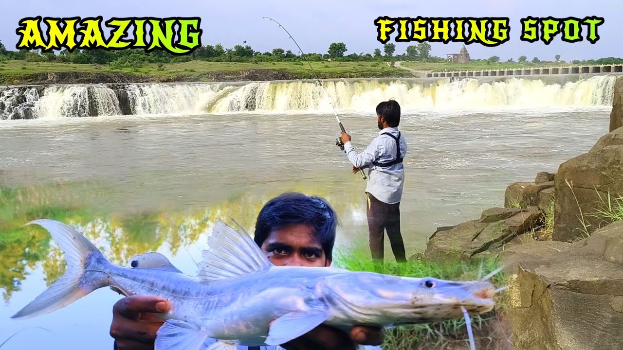 🎣Best fishing video🎣catching big padin fishes/Wallago attu padhin fishing//singhara fish//padan fish