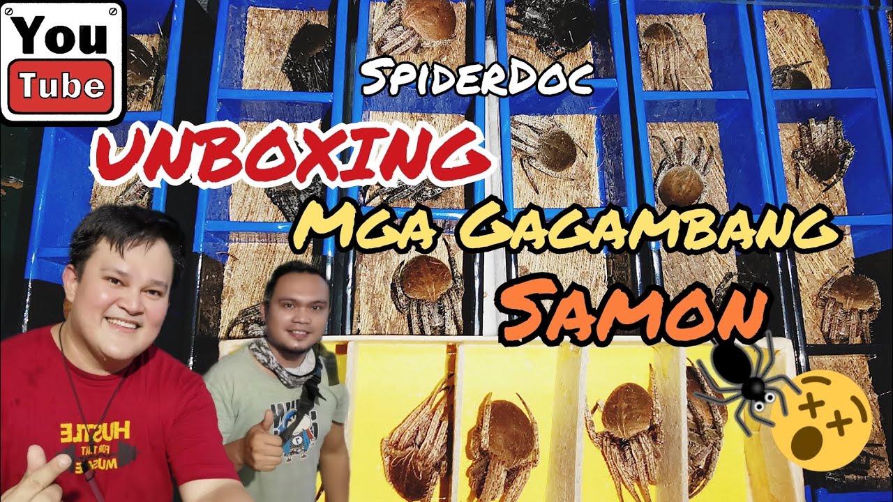UNBOXING TIME: Mga Gagambang SAMON ng ISABELA. ft. Shanrhen Ibarra Asim