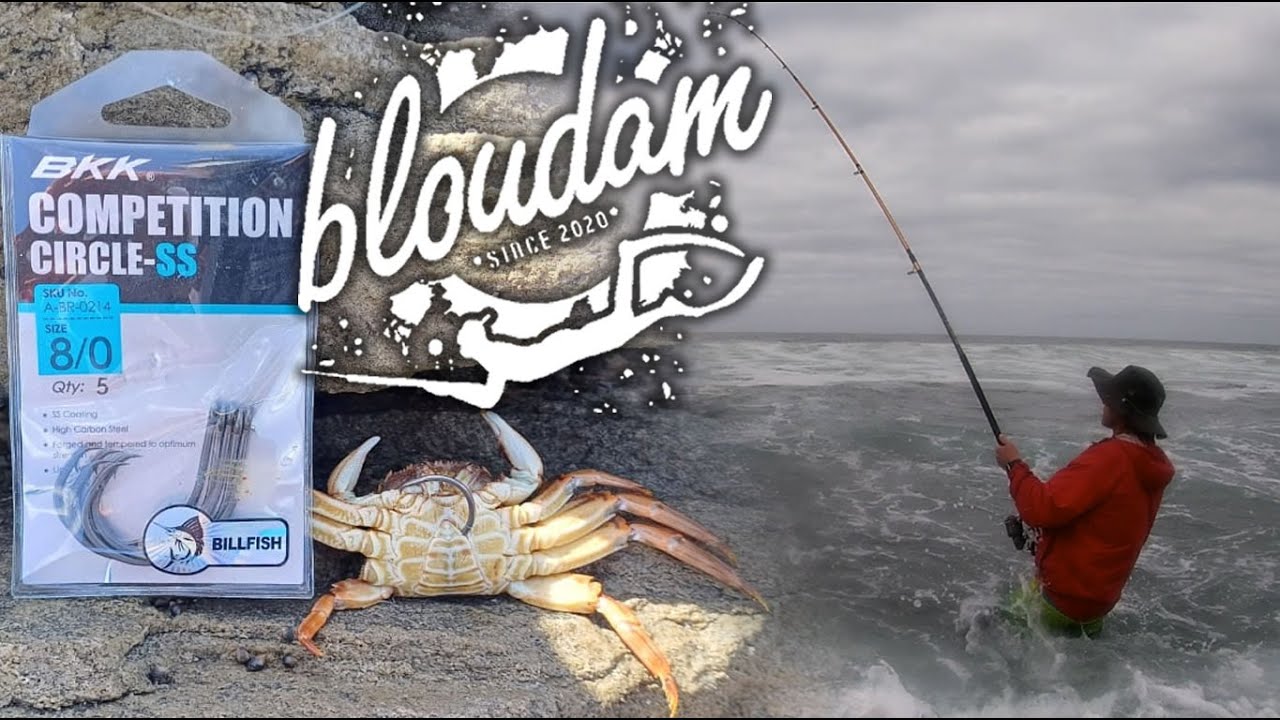 Fishing for White Mussel Cracker | Using Red Crabs as Bait for Big Catches!