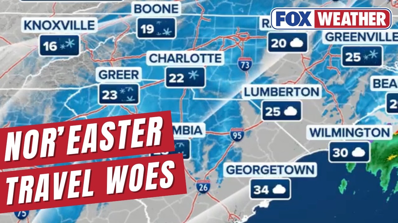 Powerful Nor'easter Disrupts Over 10,000 Flights Across US From Snow, Vicious Winds
