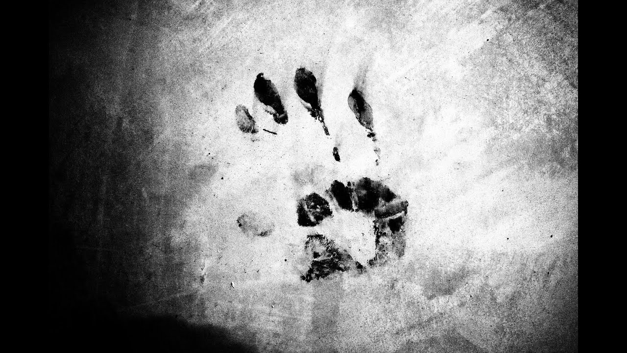 The Flayed Hand