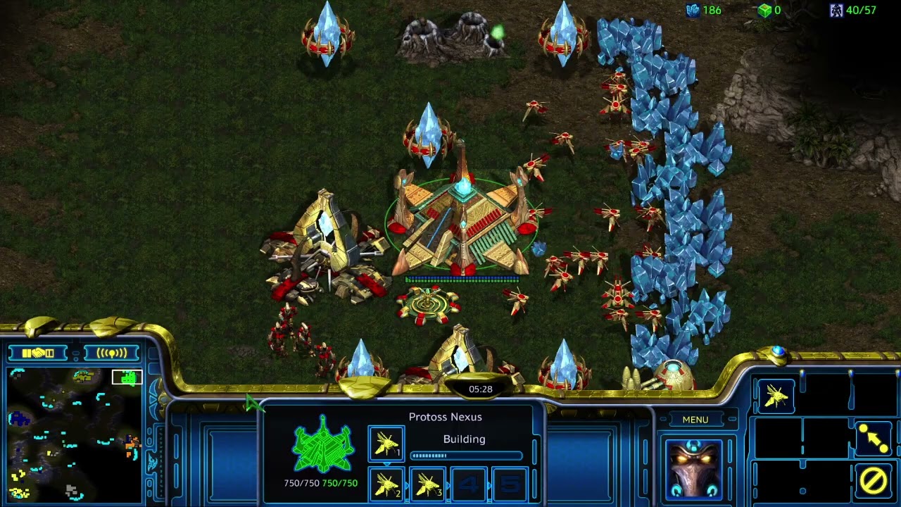 Starcraft Broodwar 4v4 Hunters