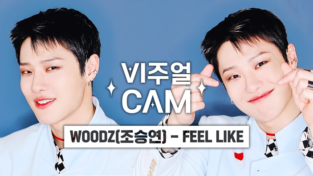 (너무 좋아요ㅠ큐ㅠ티ㅠ우ㅠ즈ㅠ) ✨비주얼캠/4K✨ WOODZ(조승연) - FEEL LIKE