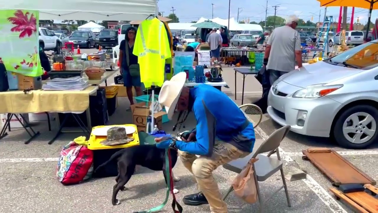 Socializing Bully Breeds Crowded Areas Dog Whisperer BIG CHUCK MCBRIDE