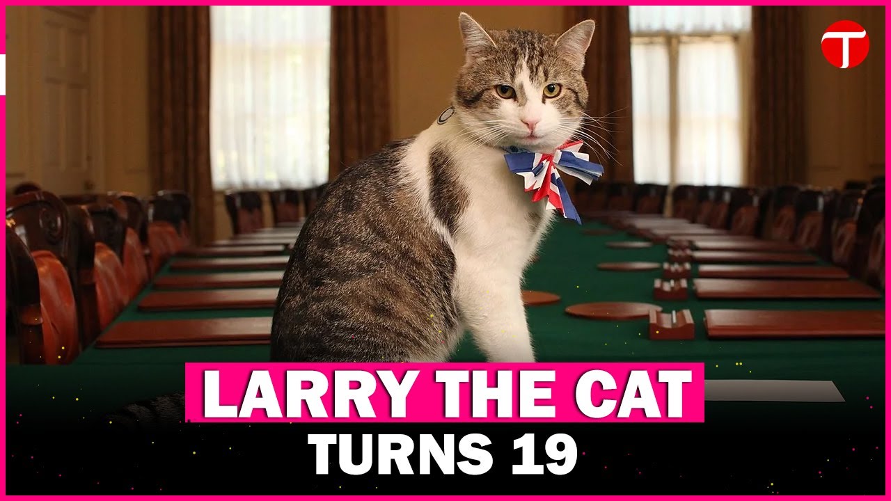 Britain’s most famous cat hits 19 as Larry’s long reign continues
