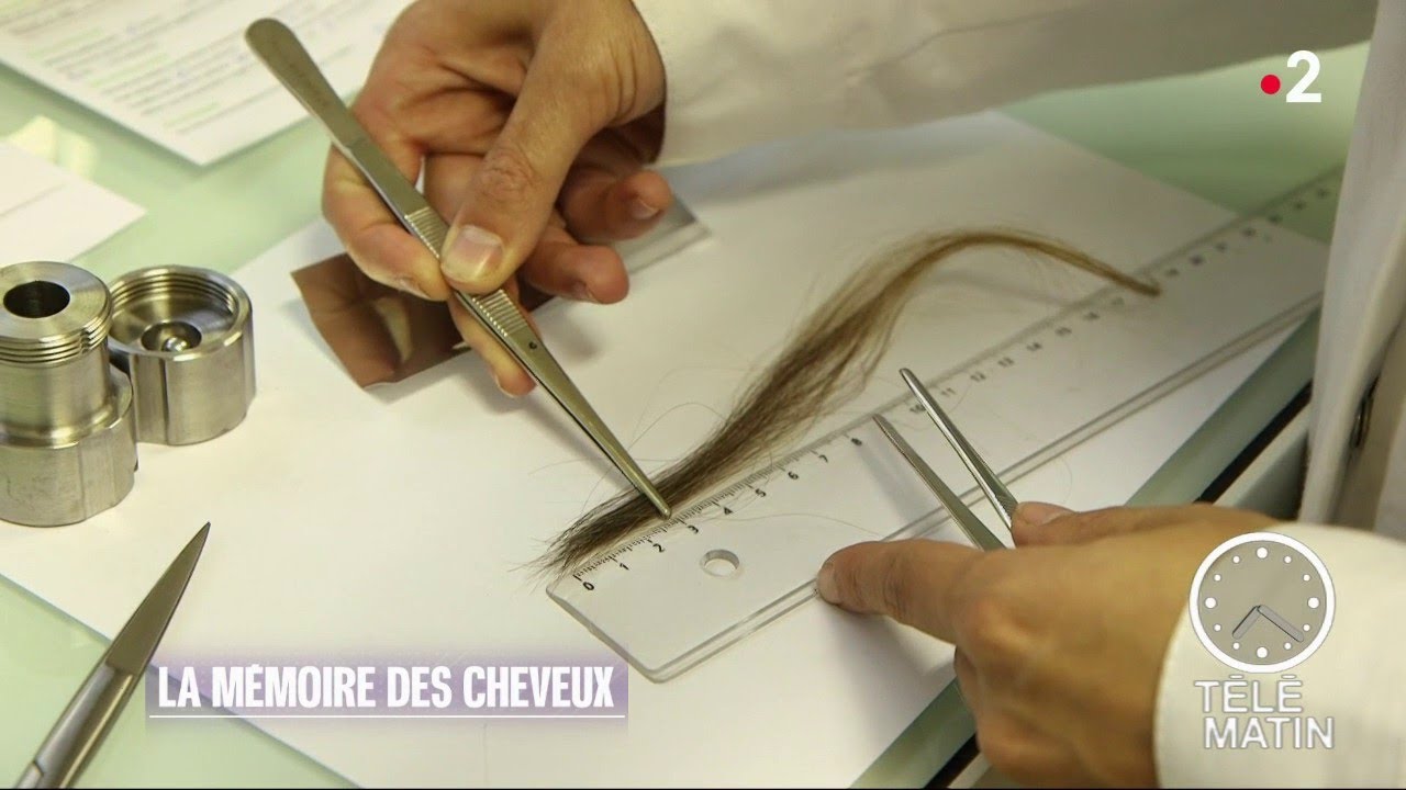 Sciences - La mémoire des cheveux