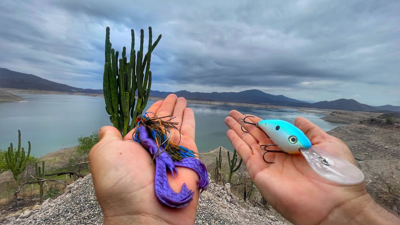 PESCANDO EL MEJOR LAGO DEL MUNDO! | Lobinas Gigantes en Bacurato