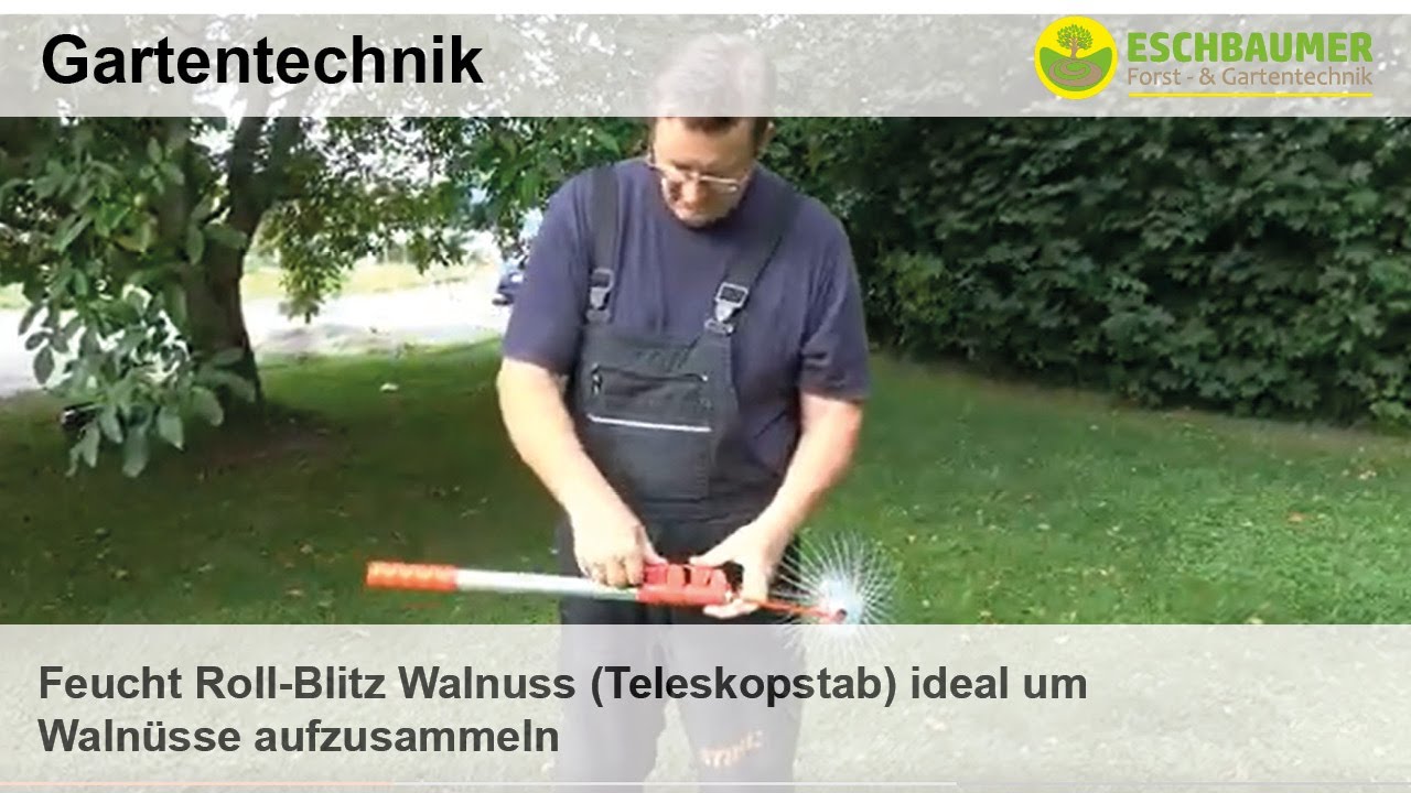 Feucht Roll-Blitz Walnuss (Teleskopstab) ideal um Walnüsse aufzusammeln