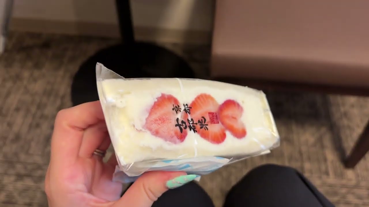 ASMR lofi 🍣  I miei hotel in Giappone – Parte 3 🍣 Nagoya, Daiwa Roynet
