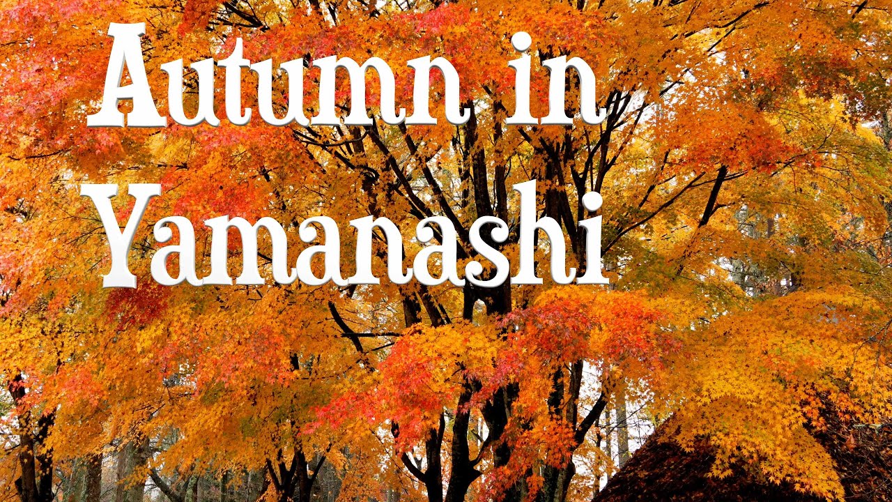 The Splendor of Autumn in Yamanashi, Japan  4K