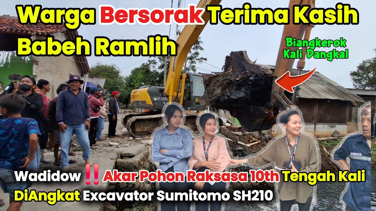 Wadidow Warga Sampe Bersorak‼️ Akar Pohon Raksasa 10th Tengah Kali DiCabut Excavator Sumitomo SH210