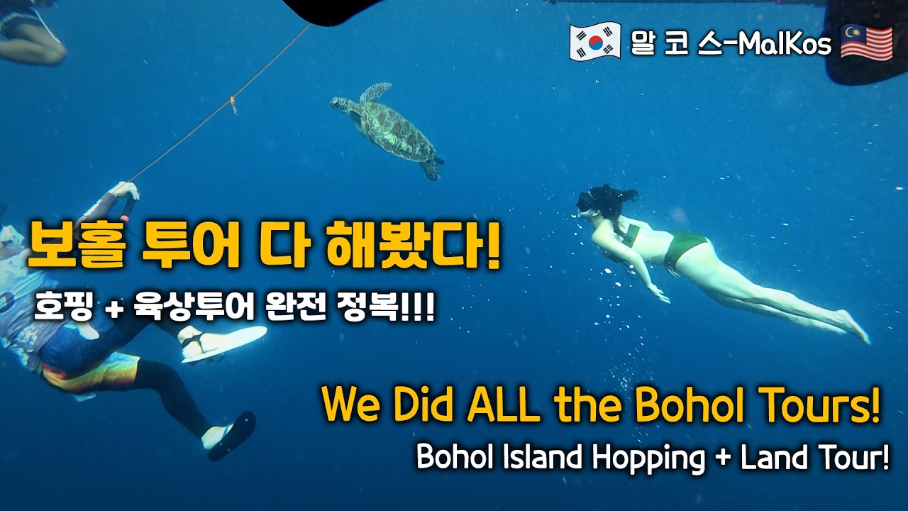 필리핀 보홀 핵심 투어들...보홀 여행 끝판왕 다 했다!!