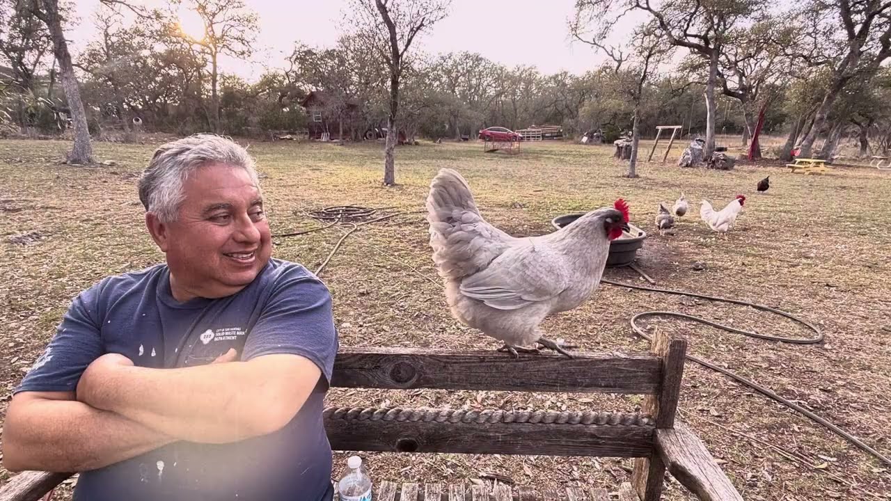 DLGT FARM - Watching all All Farm Animals & New Lamb - February 18, 2026