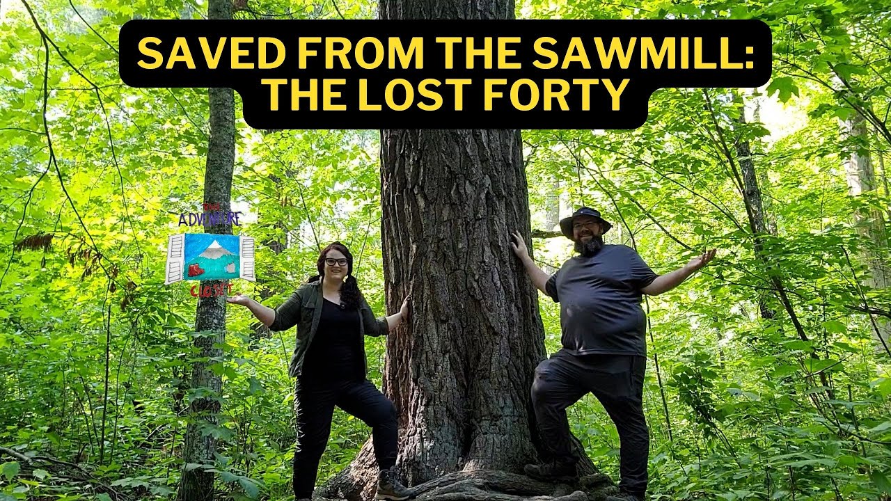 The Lost Forty | Minnesota's Oldest Forest