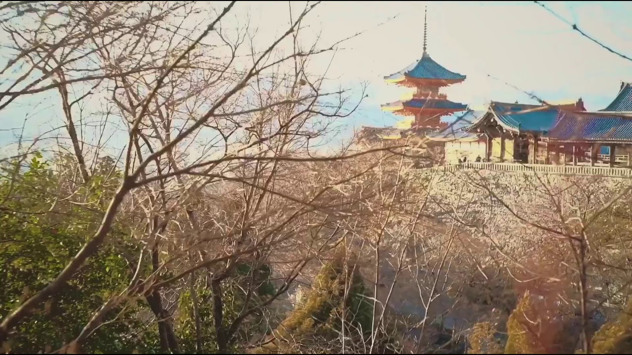 Kyoto: Short Travel Video