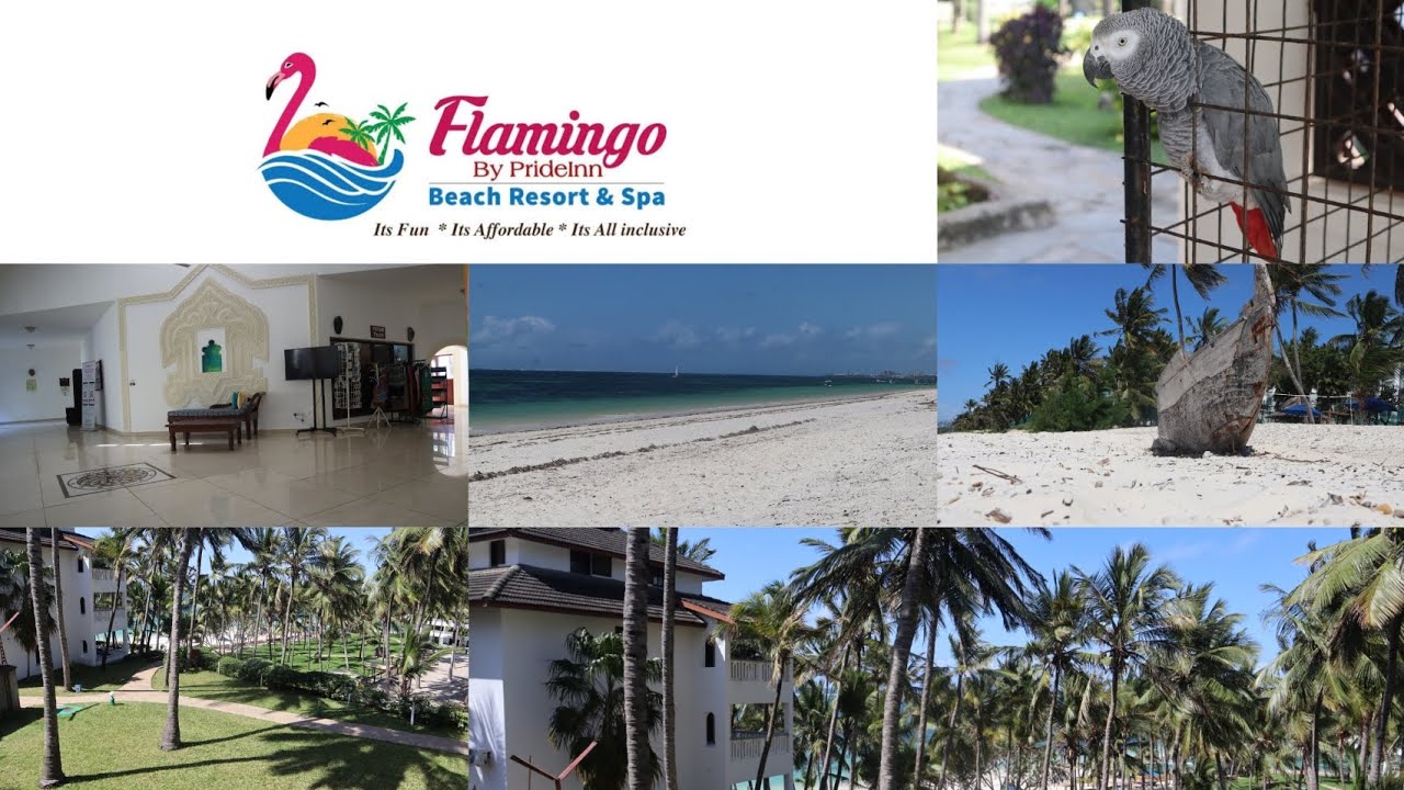 Best review of Prideinn Flamingo beach resort/My first YouTube video / Family vacation.