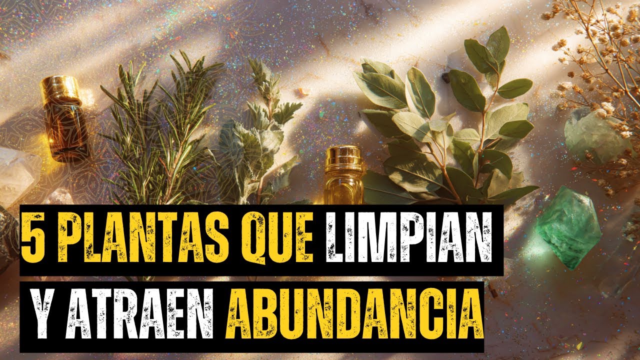 Estas 5 plantas limpian y desbloquean tu energia