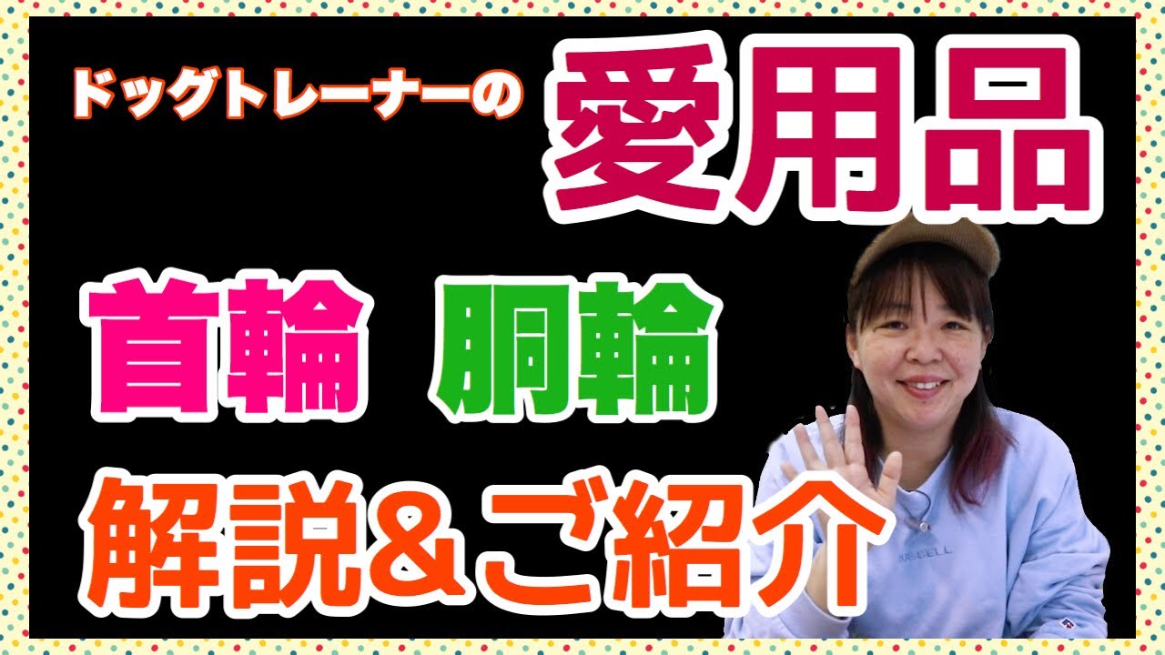 犬の首輪と胴輪　ドッグトレーナー愛用品のご紹介！それぞれについて解説します