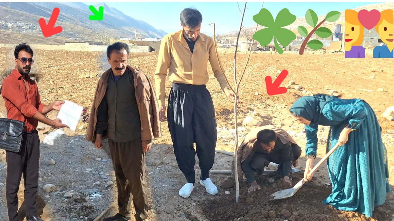 The exciting transformation of the house with Tayyiba, Farzad and Farhad's tree planting 🌱🔥