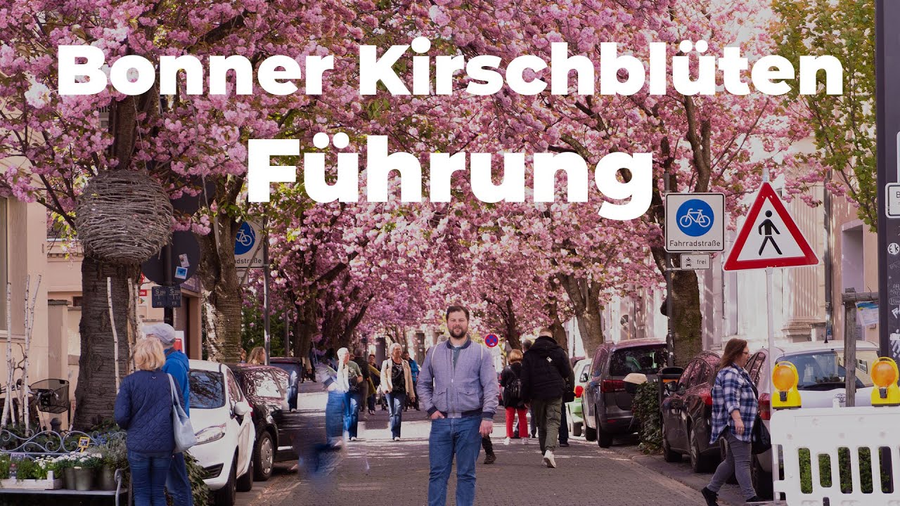 Bonner Kirschblüte Spezialführung