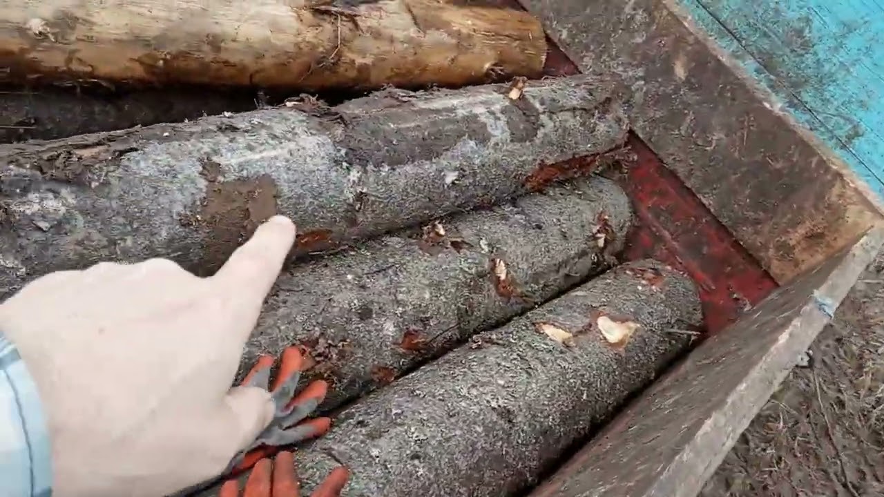 мотоблоком  🇷🇺за дровами 1 рейс👍 речный  после половодье🇷🇺agro tillers cultivator