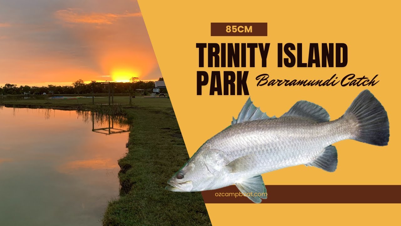Trinity Island Barramundi Catch 85cm March 2025