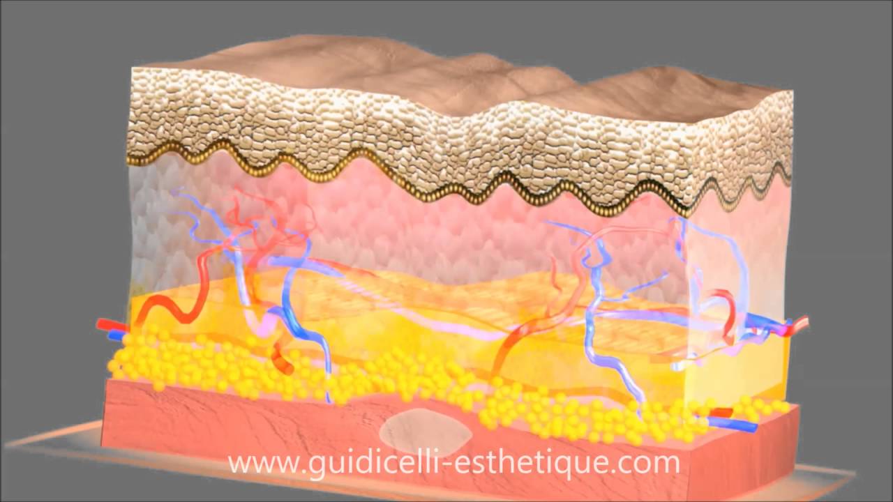 Medecine Esthetique Marseille