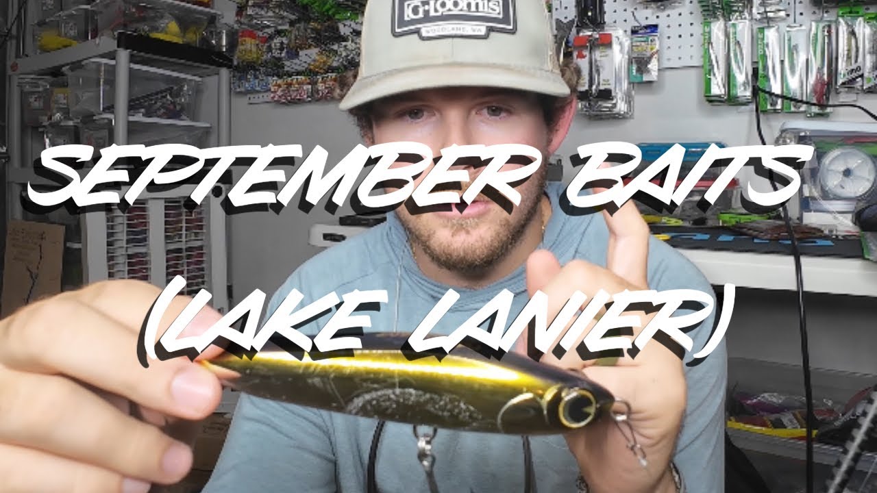 Bait of the month SEPTEMBER (Lanier/ Herring Lake)