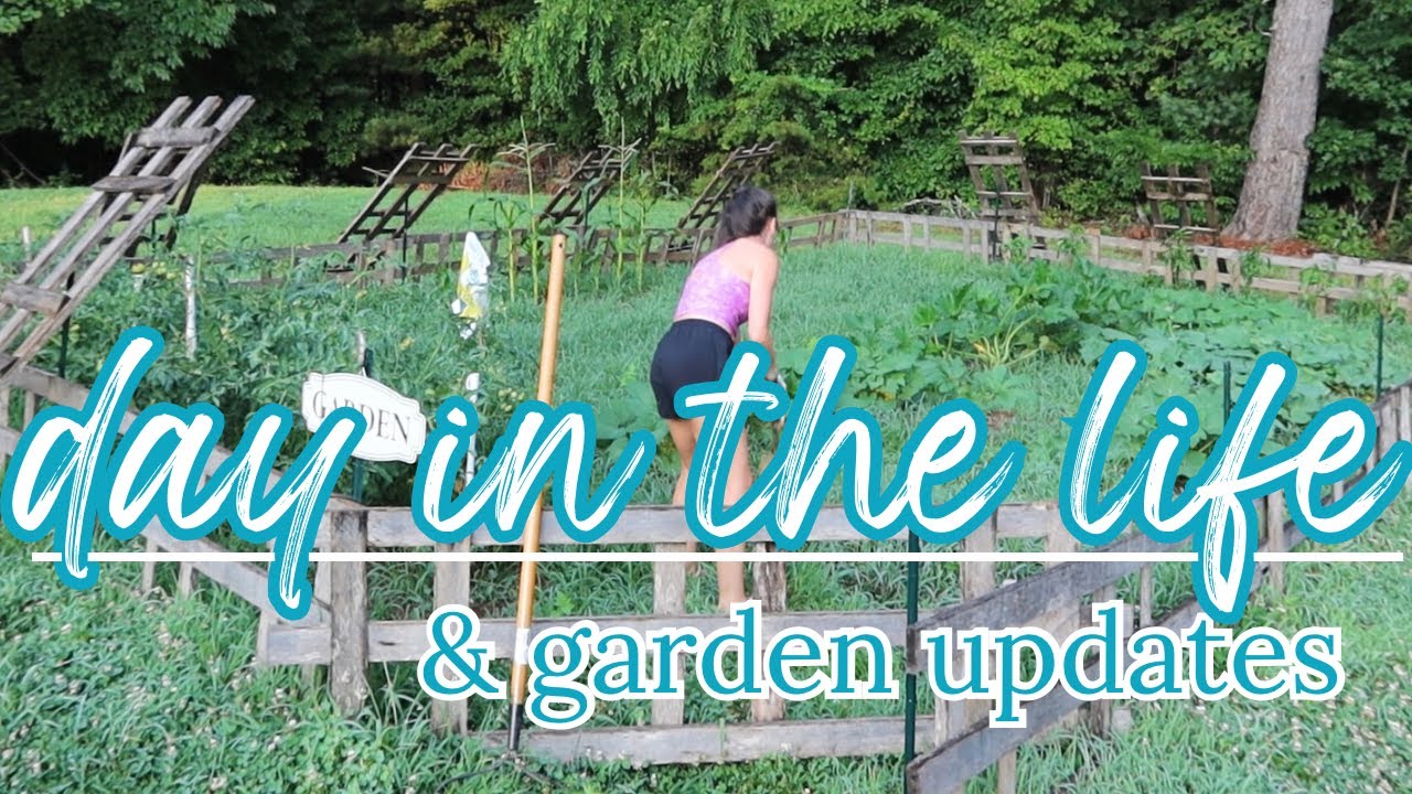 DAY IN THE LIFE & GARDEN UPDATES