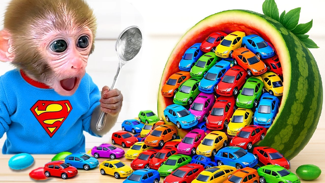 Monyet BonBon bermain dengan balok mainan warna-warni dan pergi berbelanja