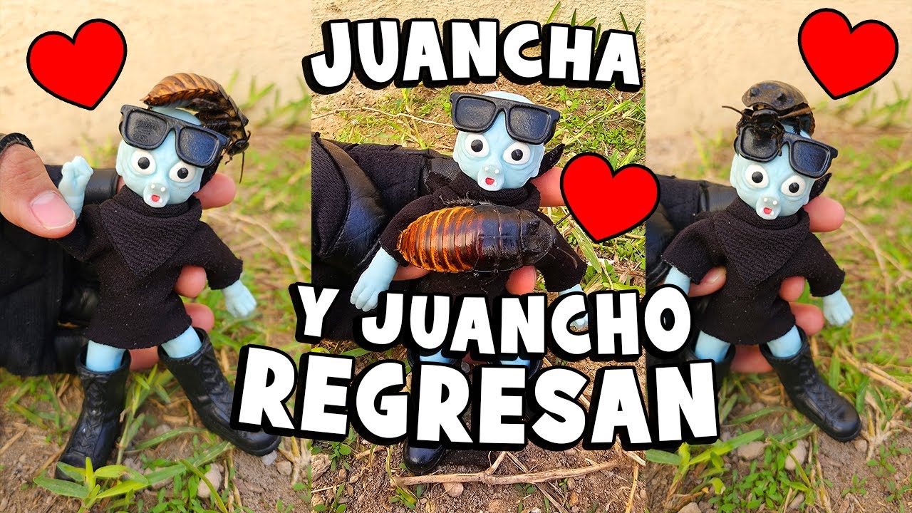 🪳 JUANCHA y JUANCHO REGRESAN!!! 🥰 #viral #juancha #insectos #educativo #humor #animales #halloween