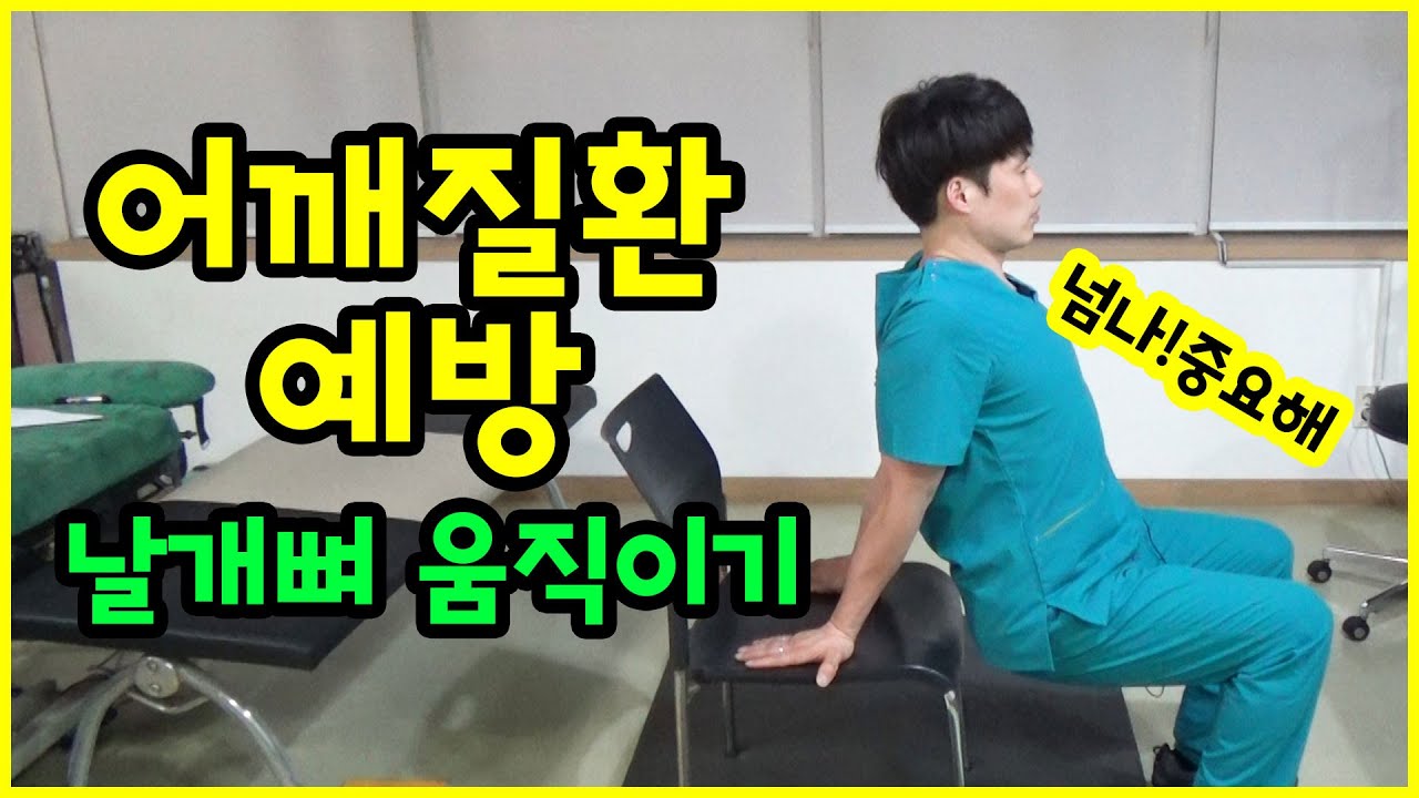 어깨질환 예방 간단 운동 : 날개뼈 운동(날개뼈 내리기, 올리기, 벌리기, 모으기)