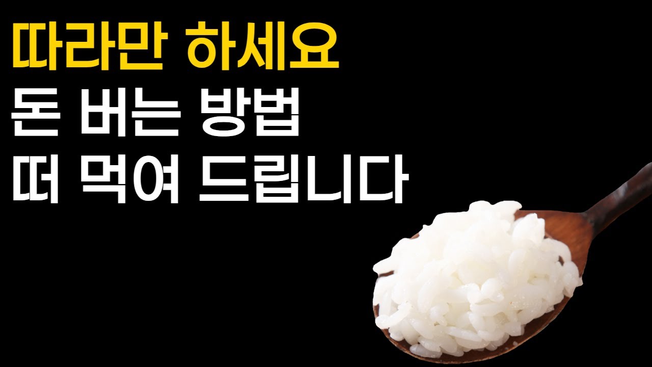 돈 버는 방법 떠 먹여 드립니다 | 온라인 쇼핑몰 | 스마트스토어 쿠팡