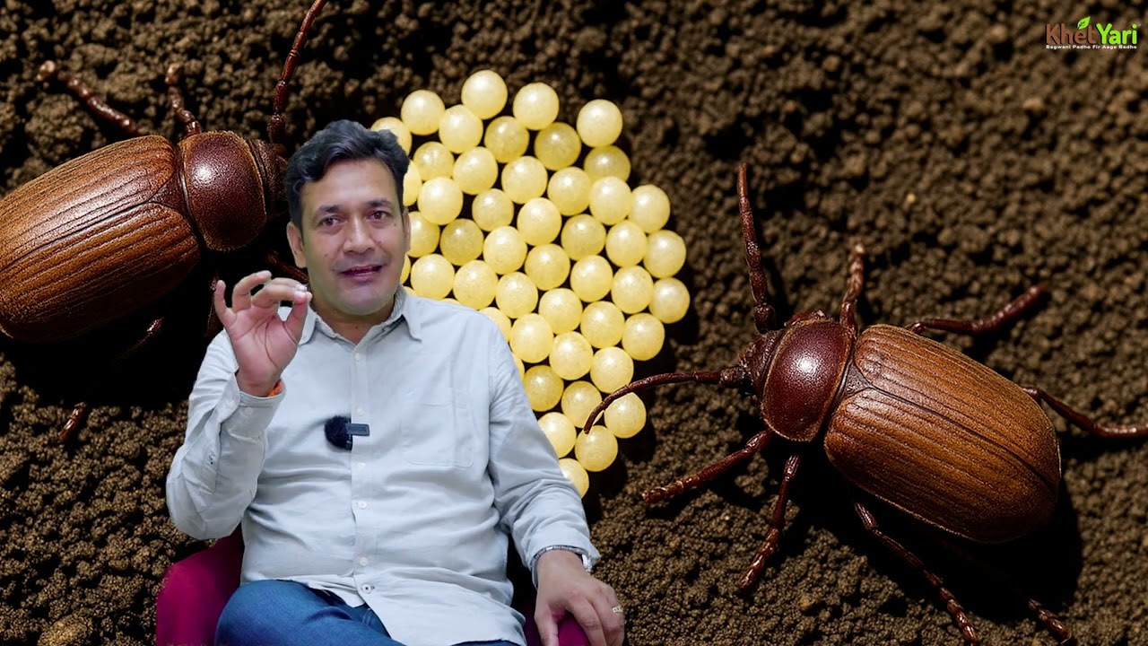 Root Rot rokne ke 3 powerful tips – apple growers ke liye must watch