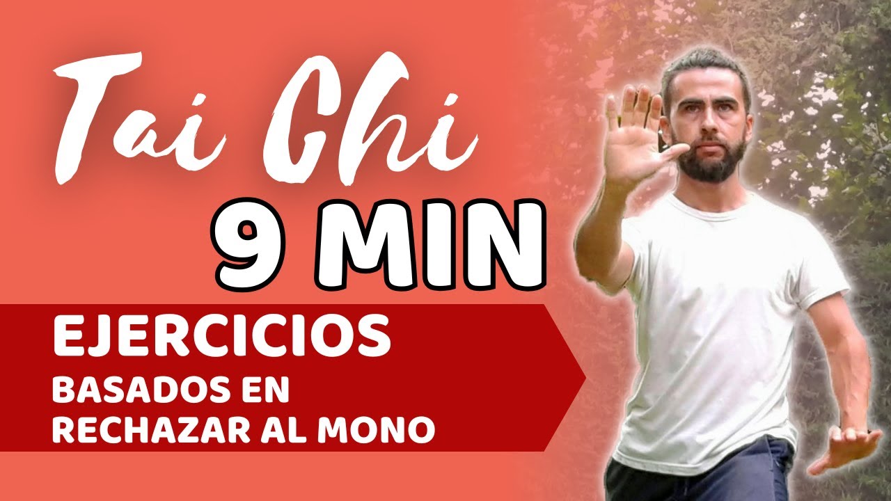 TAICHI RECHAZAR AL MONO Parte1 de 3 - DAO NIAN HOU ✨Aprende a ejercitar los brazos y cintura
